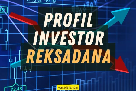 profil investor reksadana